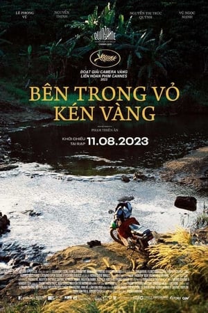 Bên trong vỏ kén vàng