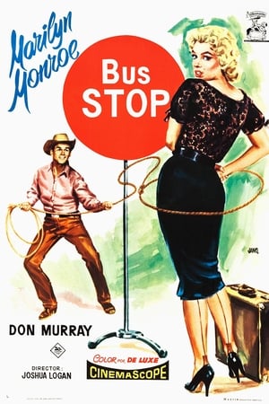 Bus Stop