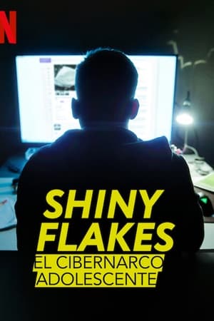 Shiny Flakes: El cibernarco adolescente