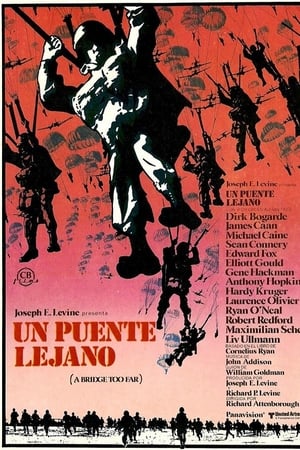Un puente lejano